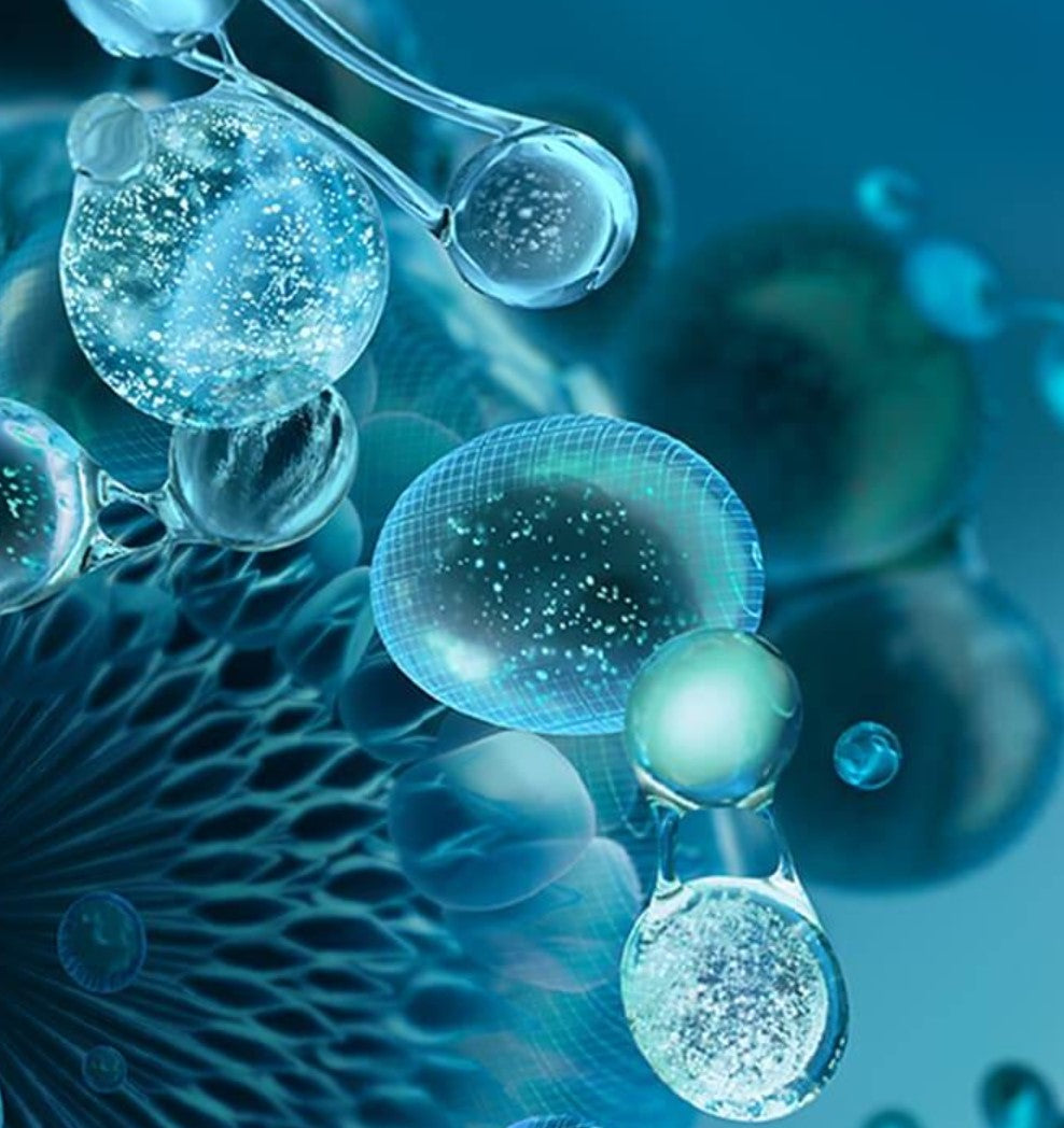 Kasvoemulsio Homme T-Pur Biotherm (200 ml)